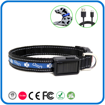 USB Rechargeable Personalized Dog Collars That Light Up